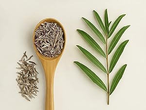 Wellwith (Ayuzera) Sea Buckthorn Raw Leaves Tea | Himalayan Herbal Leaf Tea | Good for Skin, Immunity & Detox | Pure & Natural | 50g (Pack of 1)