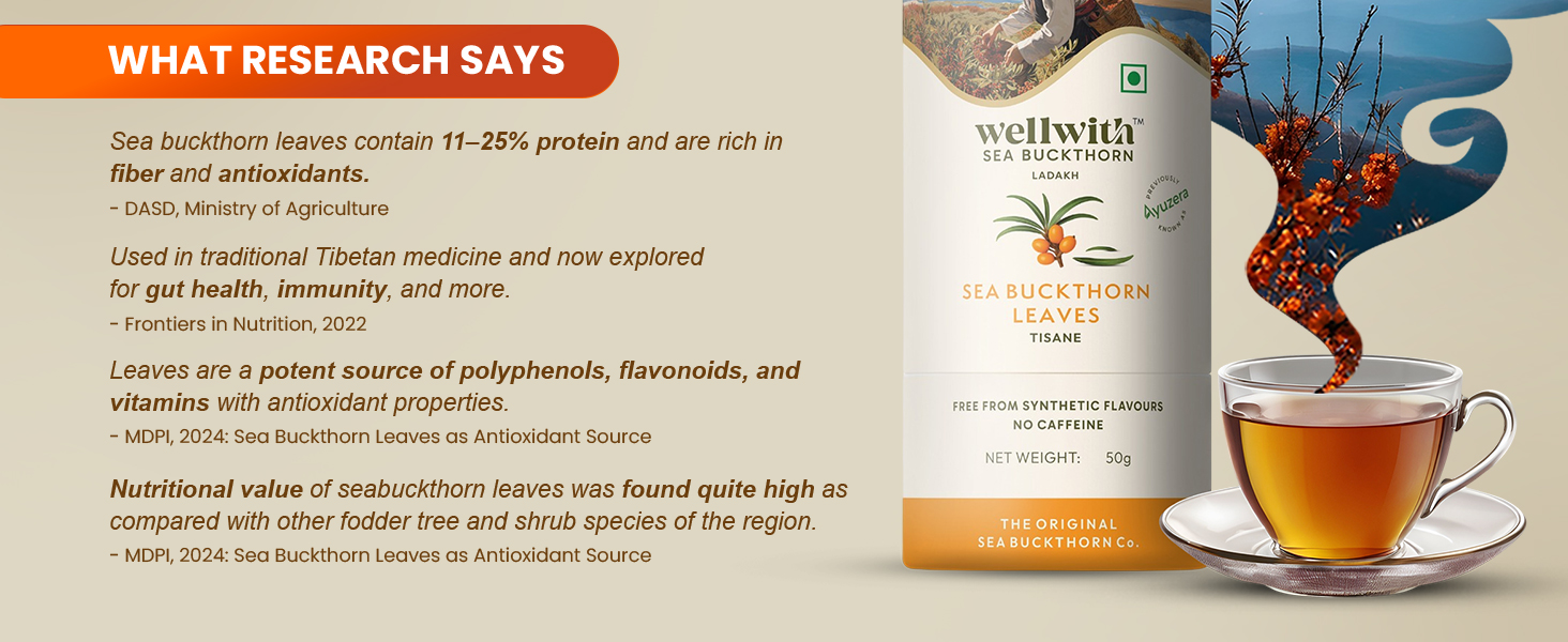 Wellwith (Ayuzera) Sea Buckthorn Raw Leaves Tea | Himalayan Herbal Leaf Tea | Good for Skin, Immunity & Detox | Pure & Natural | 50g (Pack of 1)