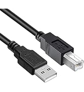 FEDUS Pack -2, RJ45 Coupler Ethernet Coupler Cat7, Cat6 Cat5e RJ45 8P8C Inline lan Coupler Ethernet Extender Adapter Adsl Extension Jointer Extending the Ethernet Cables Female to Female Connector