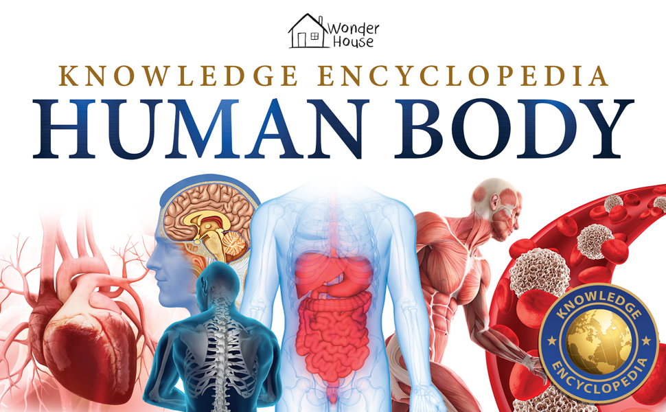 Knowledge Encyclopedia - Human Body