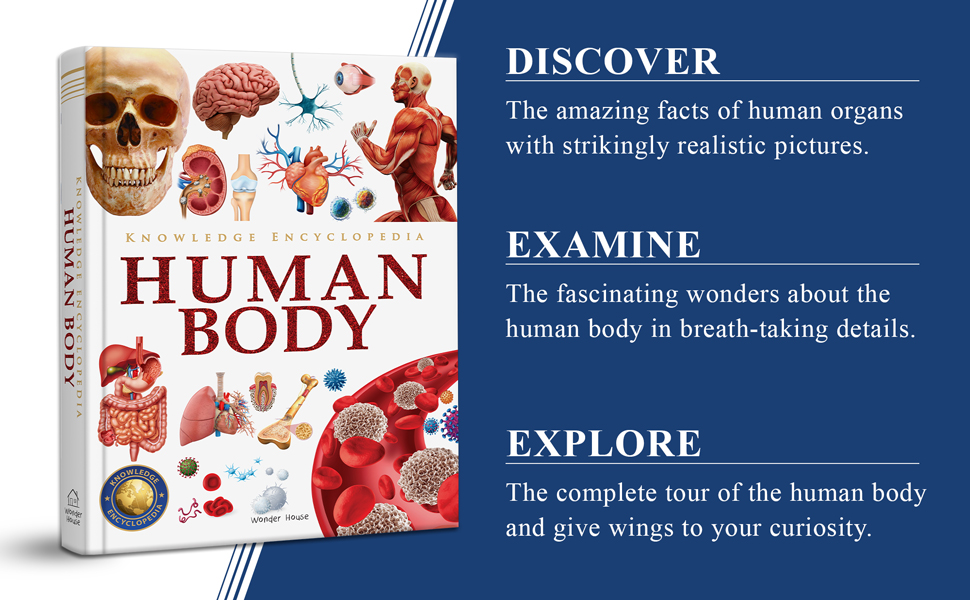 Knowledge Encyclopedia - Human Body