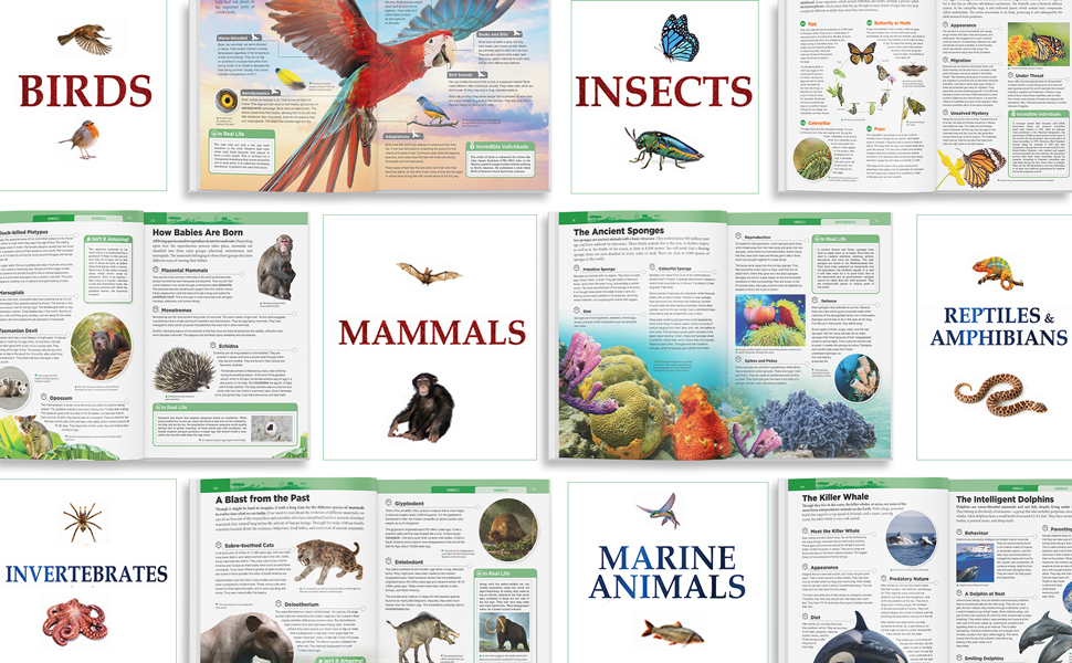 Knowledge Encyclopedia - Animals