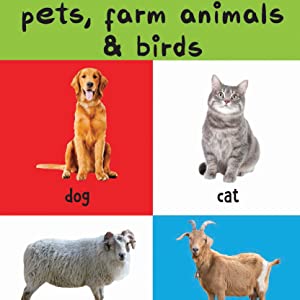 My First 4 In 1 - Wild Animals | Pet & Farm Animals | Birds | Sea Animals | Age 0–5 Years | Early Learning | Padded Board Book | Vocabulary Building For Kids | Toddlers & Preschoolers | Latest Edition