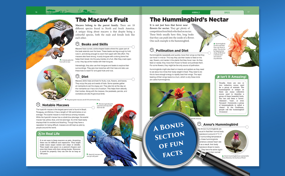 Animals - Birds | Knowledge Encyclopedia For Children