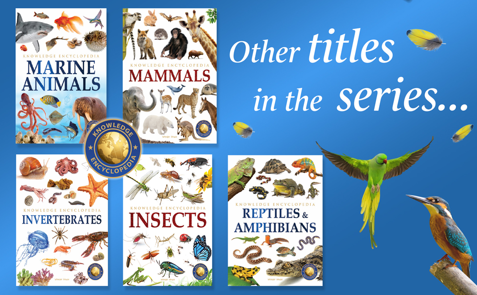Animals - Birds | Knowledge Encyclopedia For Children