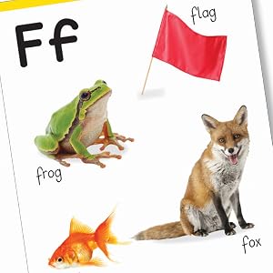 My First Padded Book of Alphabet: Early Learning Board Book for Kids | Learn ABC with Bright and Colorful Pictures | Durable Padded Board Book for Babies, Toddlers & Preschoolers | Ages 0–5 Years