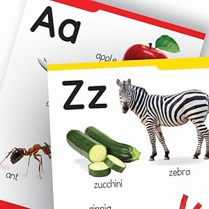 My First Padded Book of Alphabet: Early Learning Board Book for Kids | Learn ABC with Bright and Colorful Pictures | Durable Padded Board Book for Babies, Toddlers & Preschoolers | Ages 0–5 Years