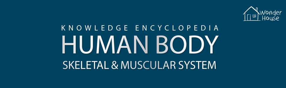 Human Body - Skeletal And Muscular System: Knowledge Encyclopedia For Children