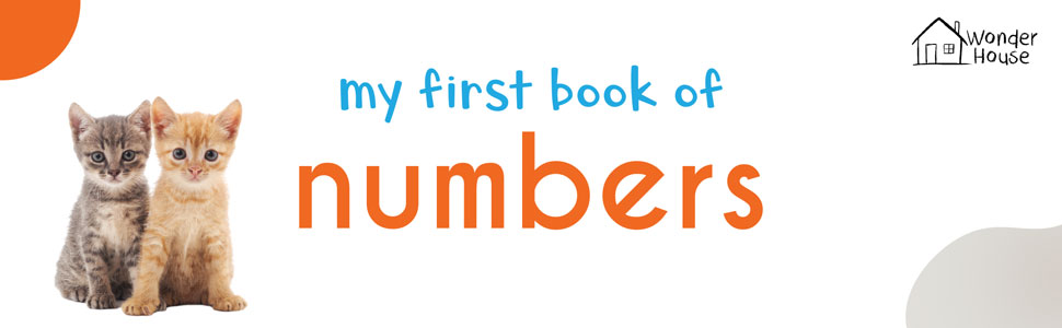My First Book Of Numbers | First Number Board Book For Babies, Toddlers & Preschoolers | Early Counting Book With Bright Pictures | Learn Numbers 1-10 | For Kids Ages 0-3 Years