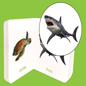My First Book Of Sea Animals | Ages 0–3 Years | Ocean Animals | Board Book For Kids | Fish | Dolphins | Whales | Bright Pictures | Vocabulary Building | Toddlers & Preschoolers | Latest Edition