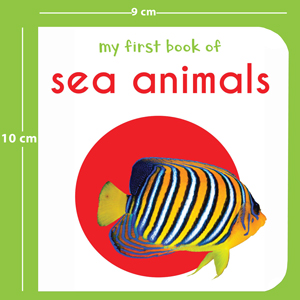 My First Book Of Sea Animals | Ages 0–3 Years | Ocean Animals | Board Book For Kids | Fish | Dolphins | Whales | Bright Pictures | Vocabulary Building | Toddlers & Preschoolers | Latest Edition