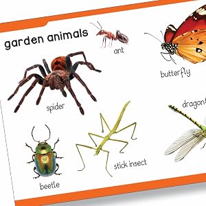 My First Padded Book Of Animals For Kids | Ages 0–5 Years | Early Learning | Board Book | Wild Animals | Farm Animals | Pets | Birds | Bright Pictures | Toddler & Preschooler | Latest Edition