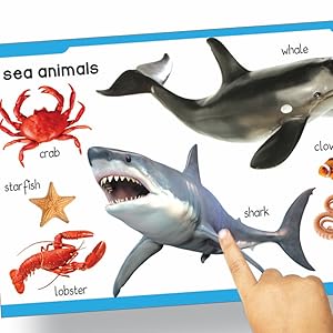 My First Padded Book Of Animals For Kids | Ages 0–5 Years | Early Learning | Board Book | Wild Animals | Farm Animals | Pets | Birds | Bright Pictures | Toddler & Preschooler | Latest Edition