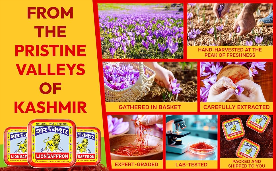 LION BRAND SAFFRON Original Kashmir Lacha Saffron/Kesar/Keshar (Certified Grade A) for Biryani, Beauty, Improved Health and Tilak (Pack of 1 (1gram))