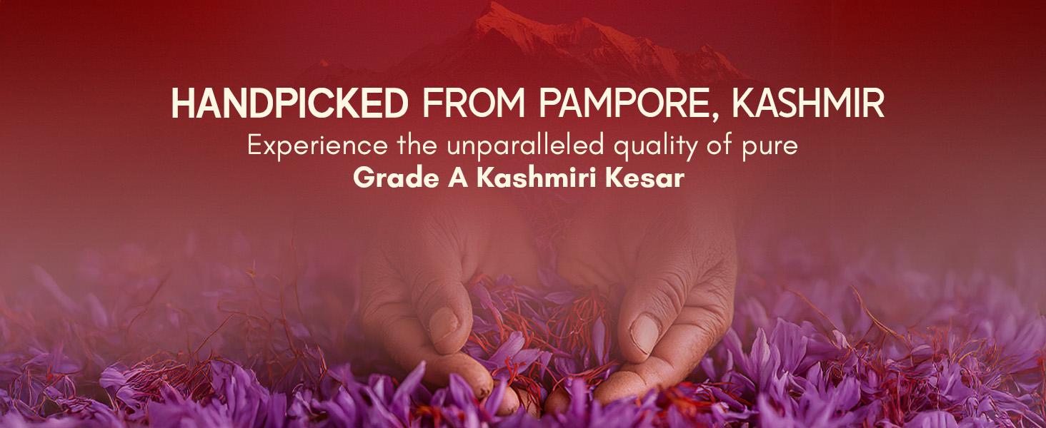 Rasayanam Pure Original Kashmiri Saffron/Kesar/Kumkuma Puvvu (1gm) | Certified highest Grade-A Keshar | Saffron for pregnant women, Pooja rituals & Food aroma