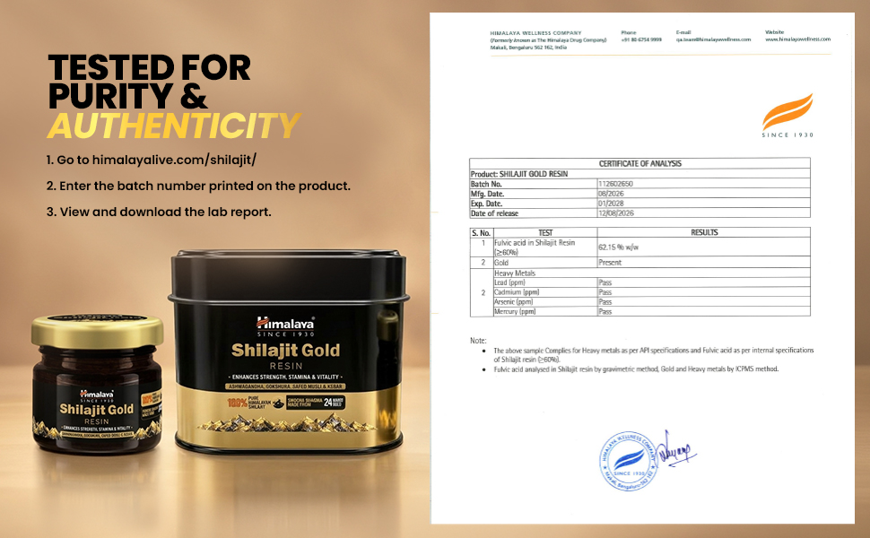 Himalaya Shilajit Gold Resin - 20g | 500mg/Serving | 100% Pure Himalayan Shilajit | Contains 24 Carat Gold + 6 Ayurvedic Herbs | Boosts Energy, Endurance & Muscle Recovery