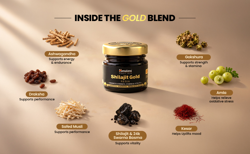 Himalaya Shilajit Gold Resin - 20g | 500mg/Serving | 100% Pure Himalayan Shilajit | Contains 24 Carat Gold + 6 Ayurvedic Herbs | Boosts Energy, Endurance & Muscle Recovery