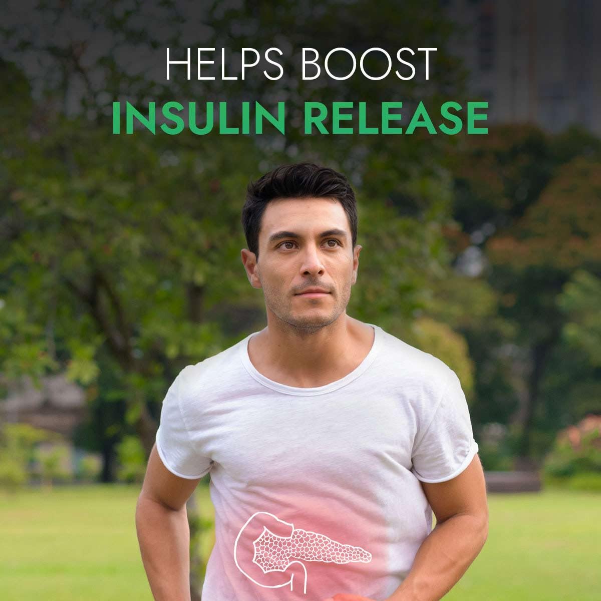 Kapiva Dia Foods Green Tea for Blood Sugar Care – view 4
