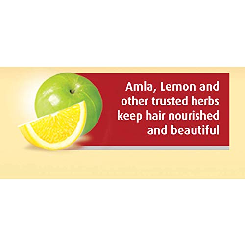 Dabur Vatika Enriched Coconut Hair Oil with Hibiscus - 300ml – view 4
