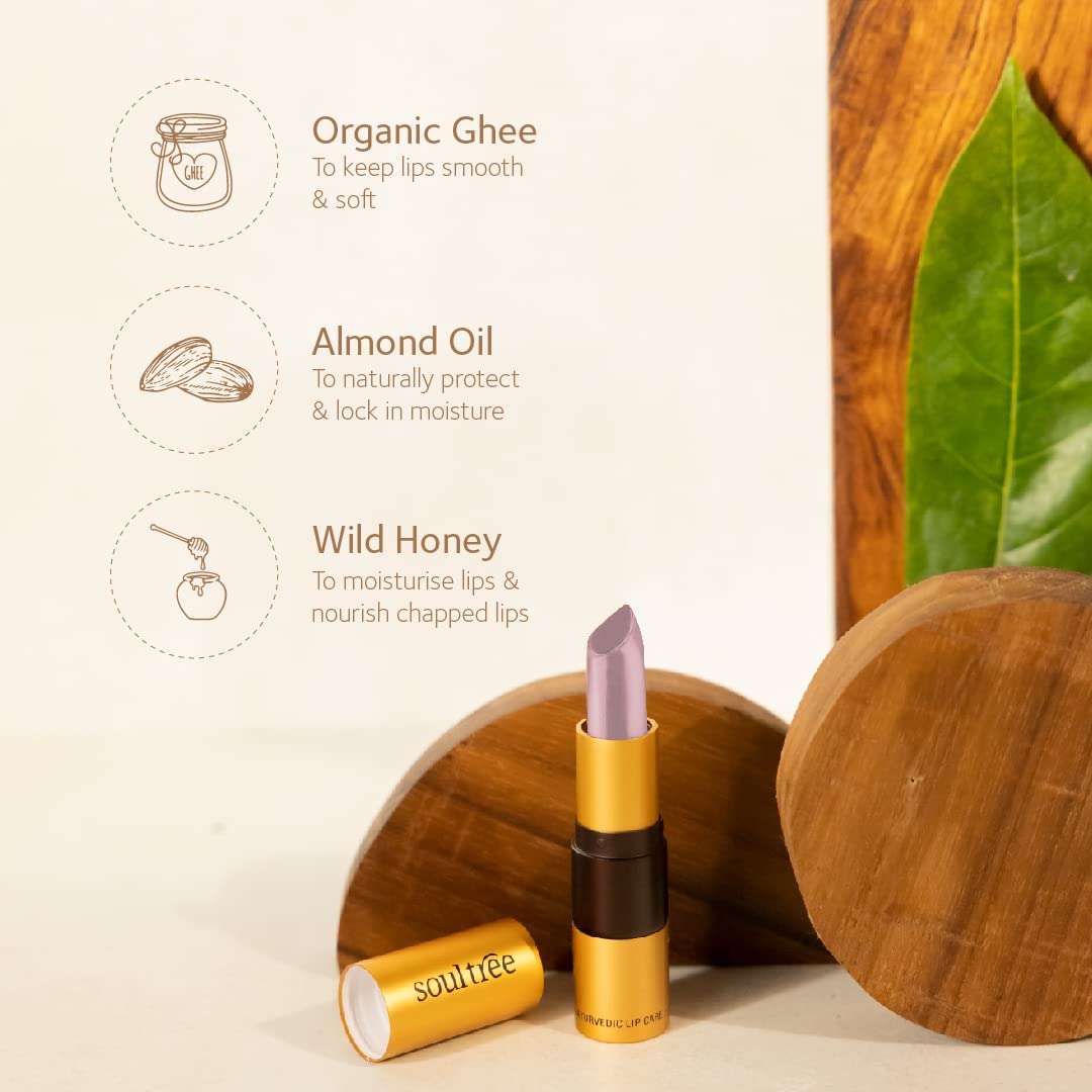 SoulTree Ayurvedic Lipstick - Nude Pink 500, 4gm – view 4