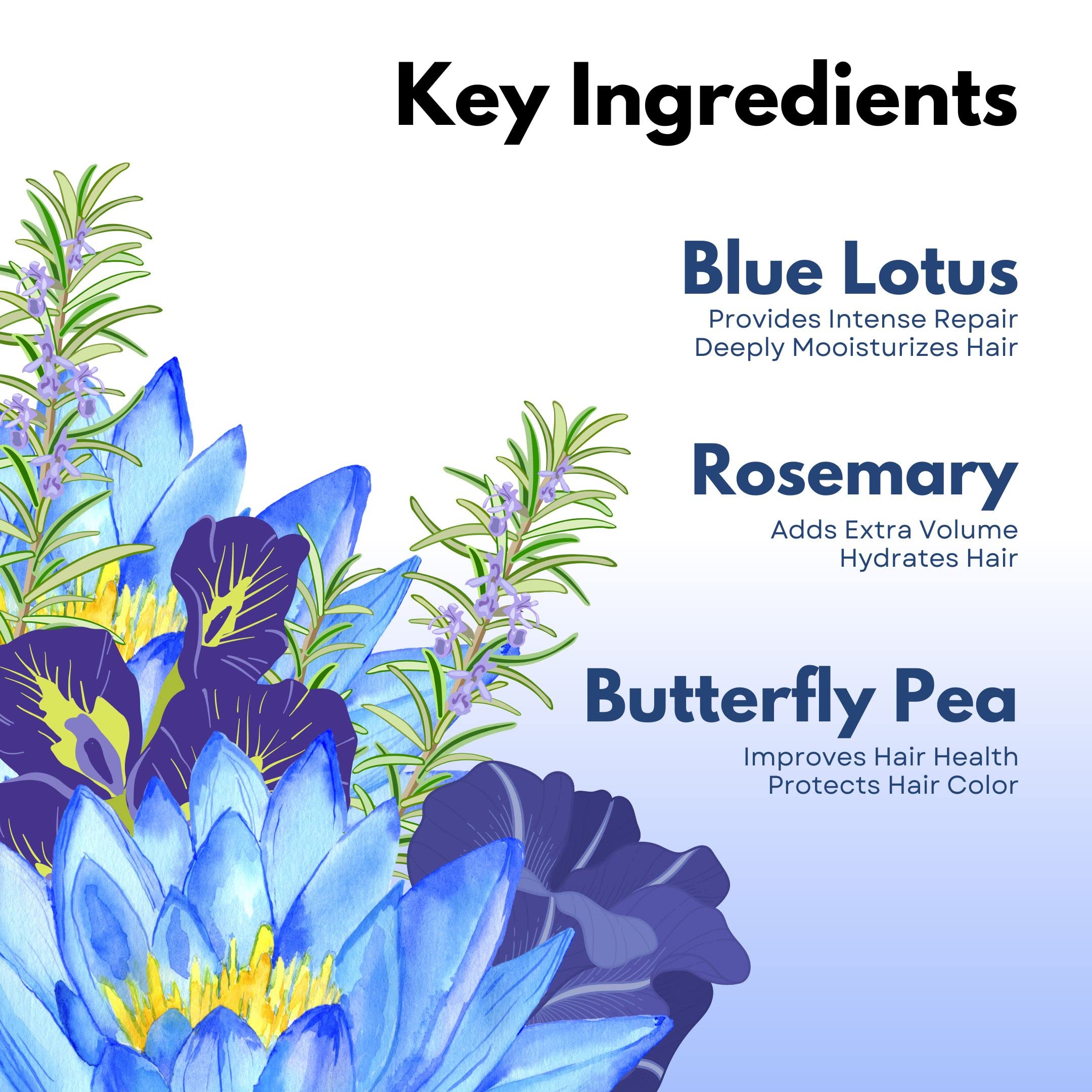 Paradyes Blue Lotus Tea Hair Perfume for Intense Hydration & Calming Fragrance – view 5