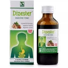 Willmar Schwabe India Dizester (100ml) – view 1