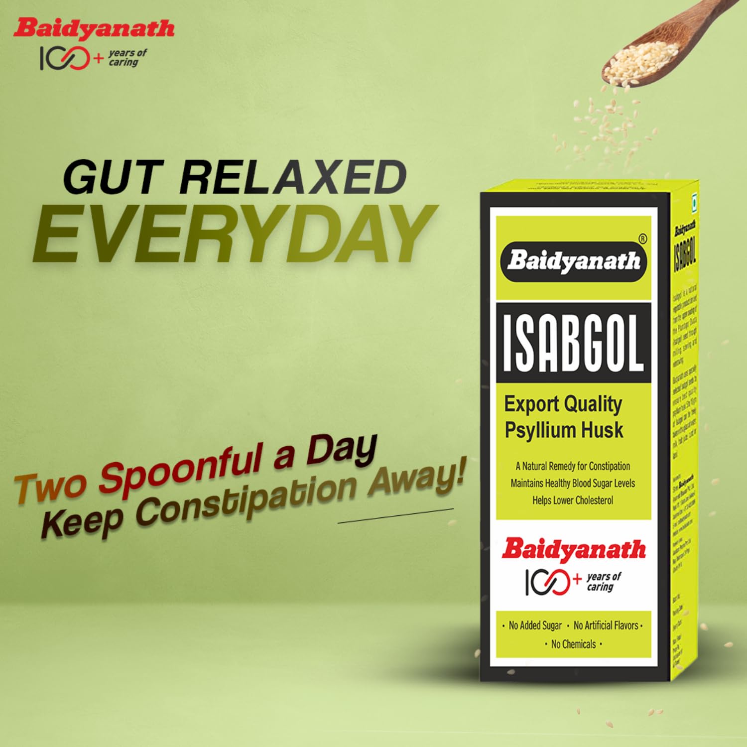 Baidyanath Isabgol - Psyllium Husk Powder – view 2
