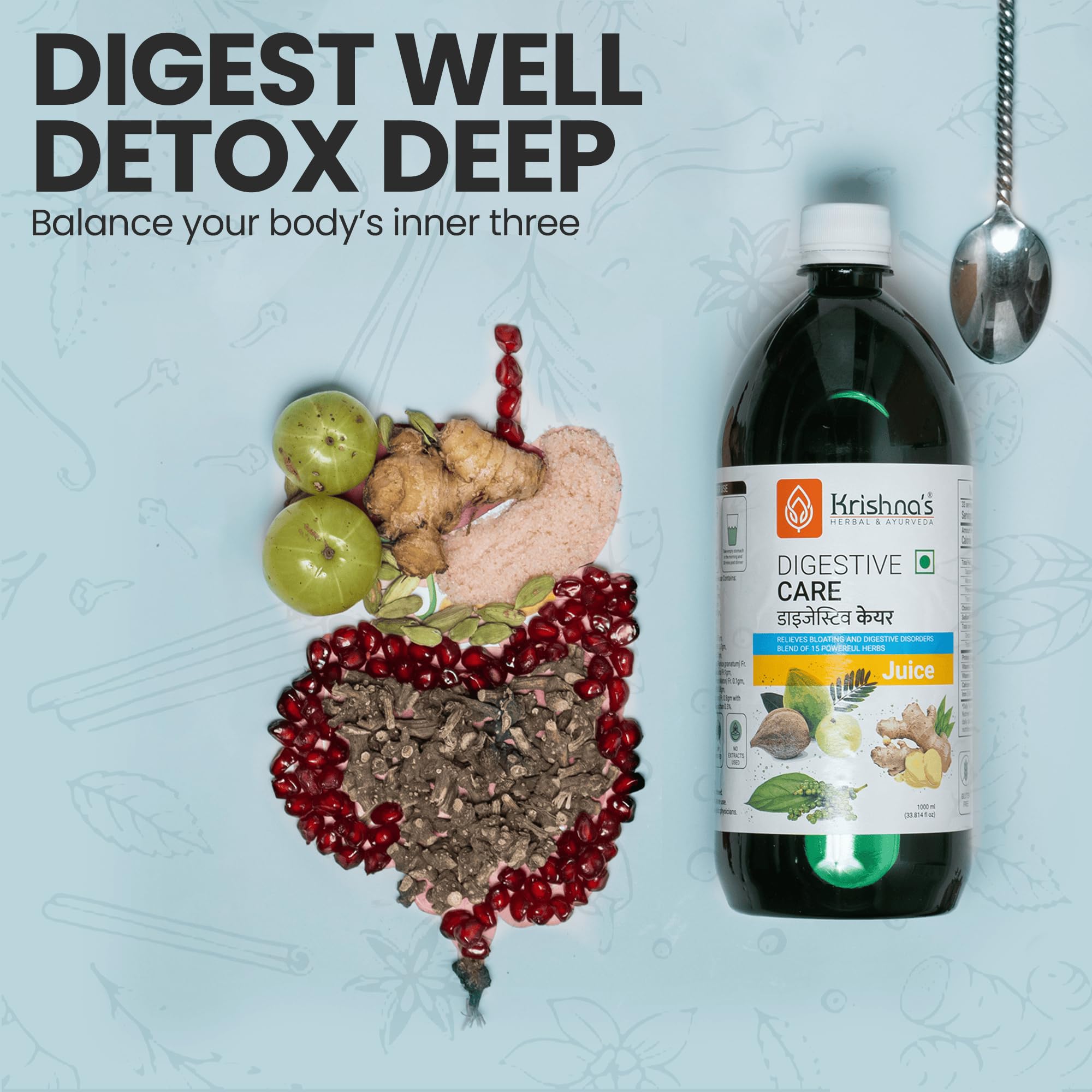 KRISHNA'S HERBAL & AYURVEDA Digestive Care Juice - 1000 ml – view 8