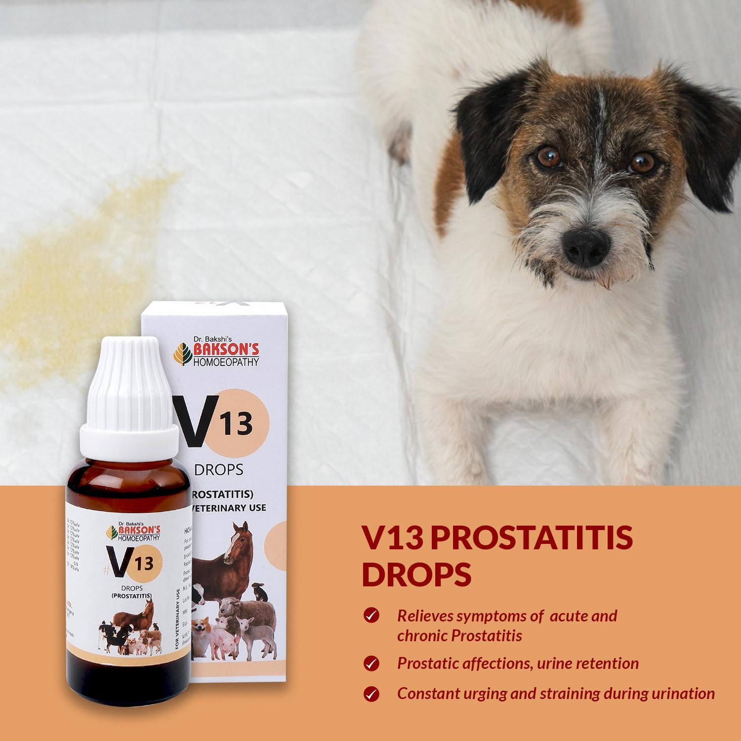 Bakson Veterinary – view 4