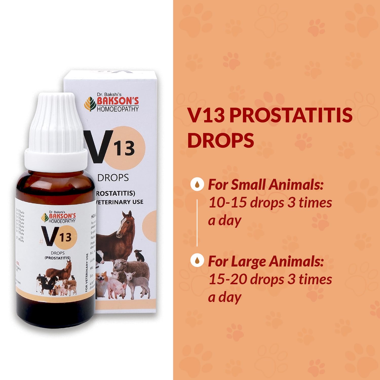 Bakson Veterinary – view 5