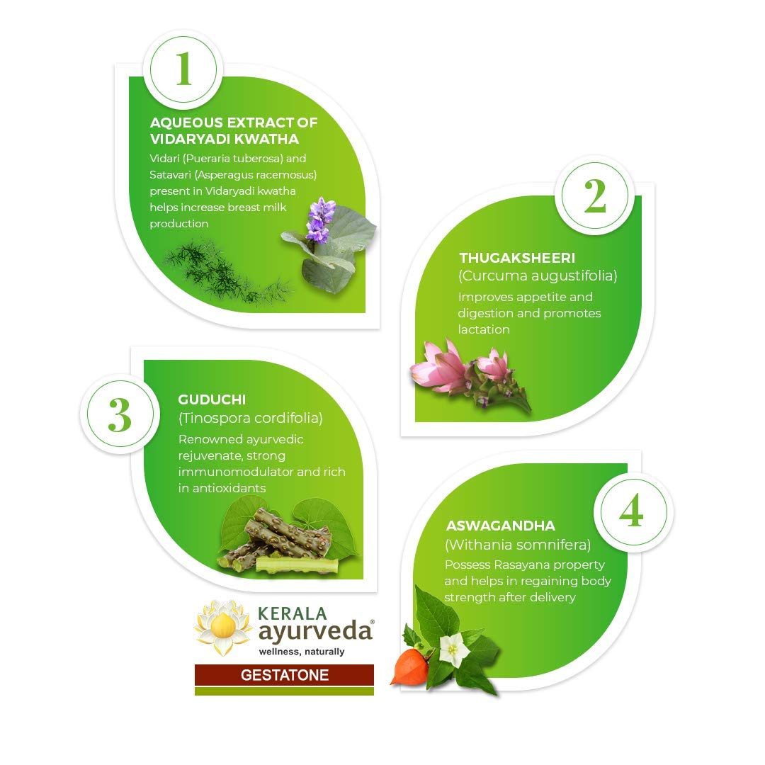 Kerala Ayurveda Gestatone - 250 g (Pack of 3) – view 4