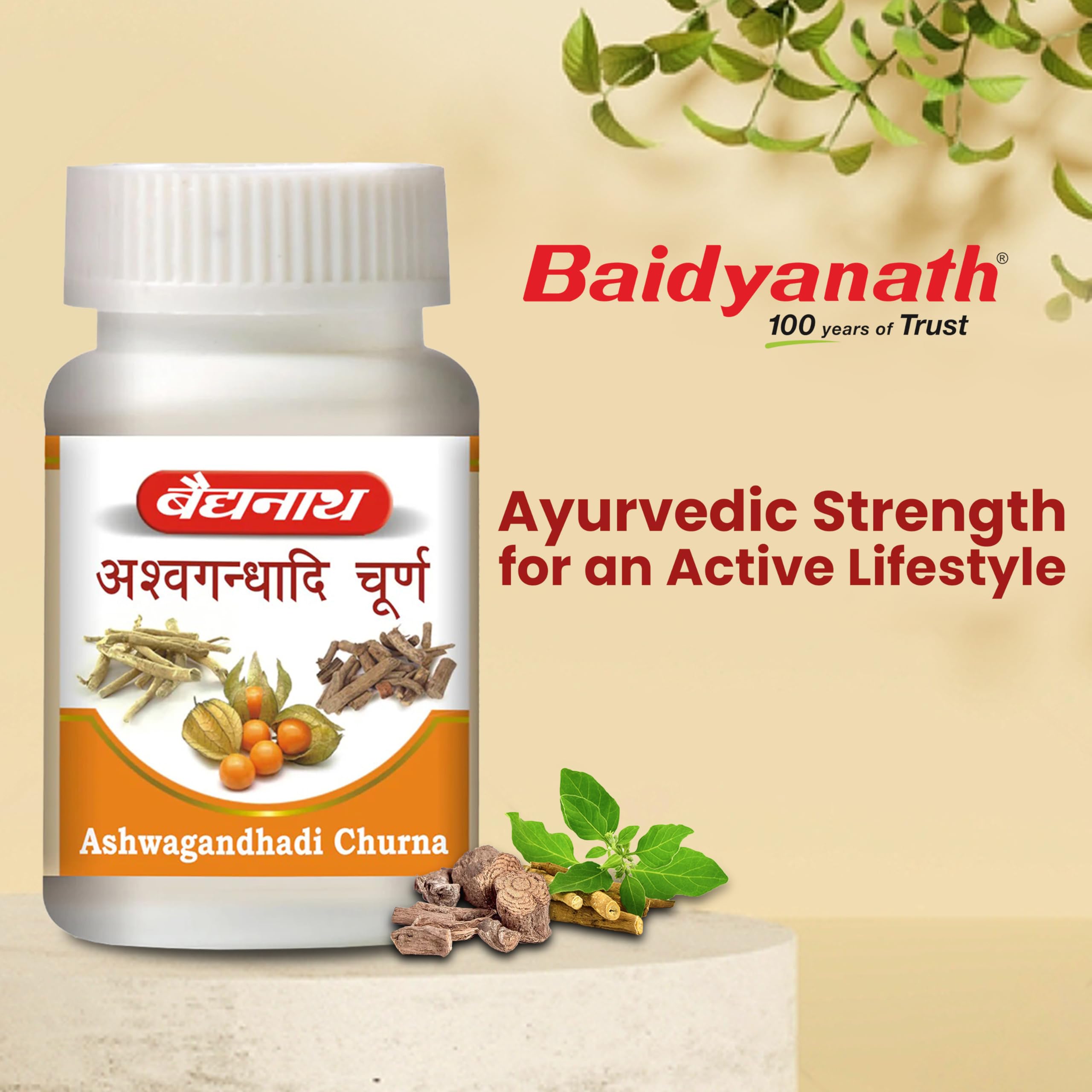 Baidyanath Ashwagandhadi Churna - 120 GM – view 2