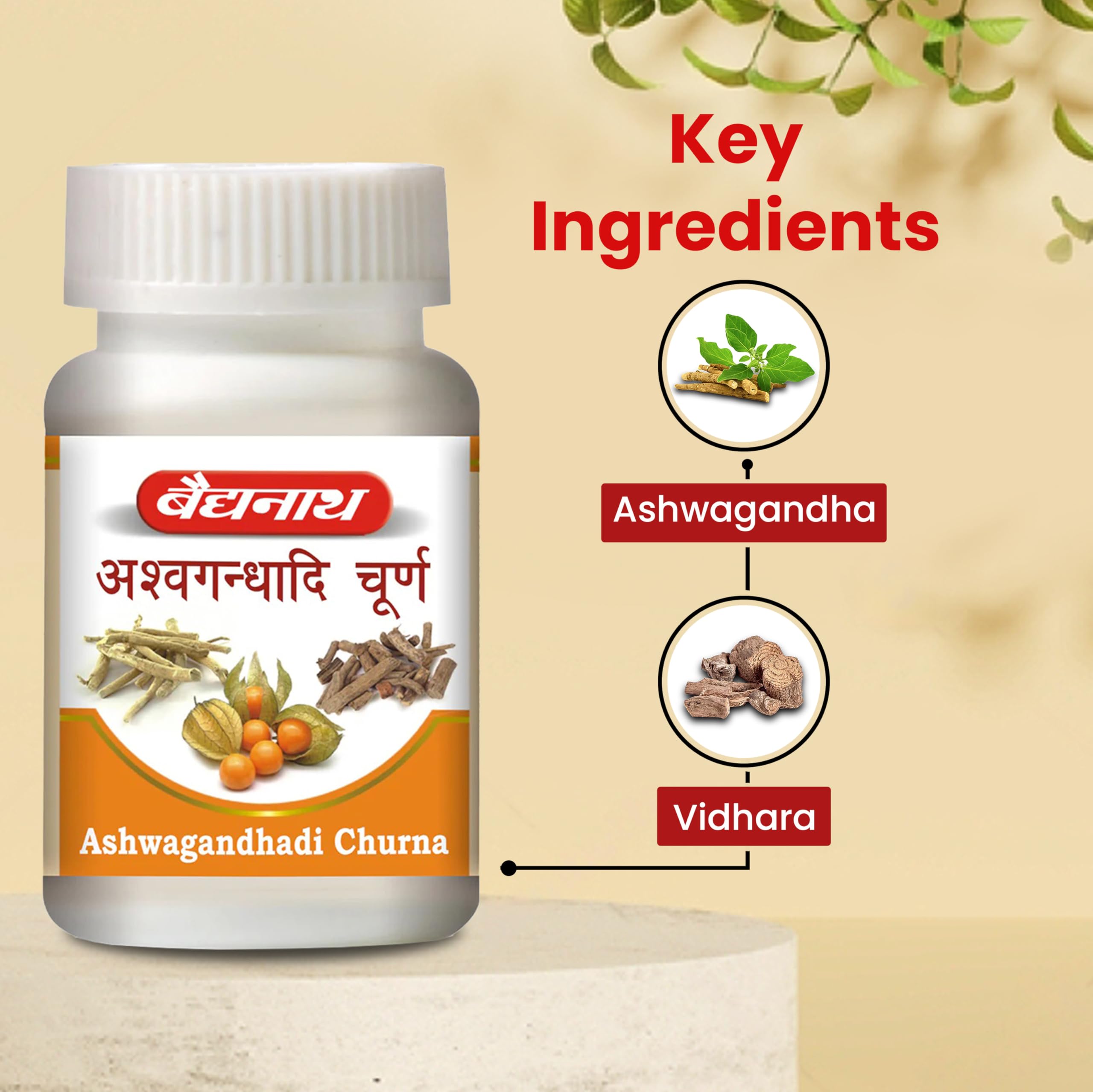 Baidyanath Ashwagandhadi Churna - 120 GM – view 4