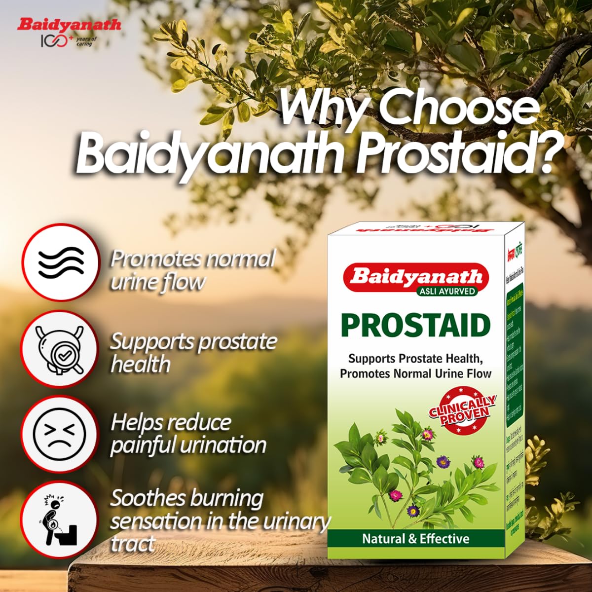 Baidyanath Prostaid 50 Tablets (Pack of 2) – view 3