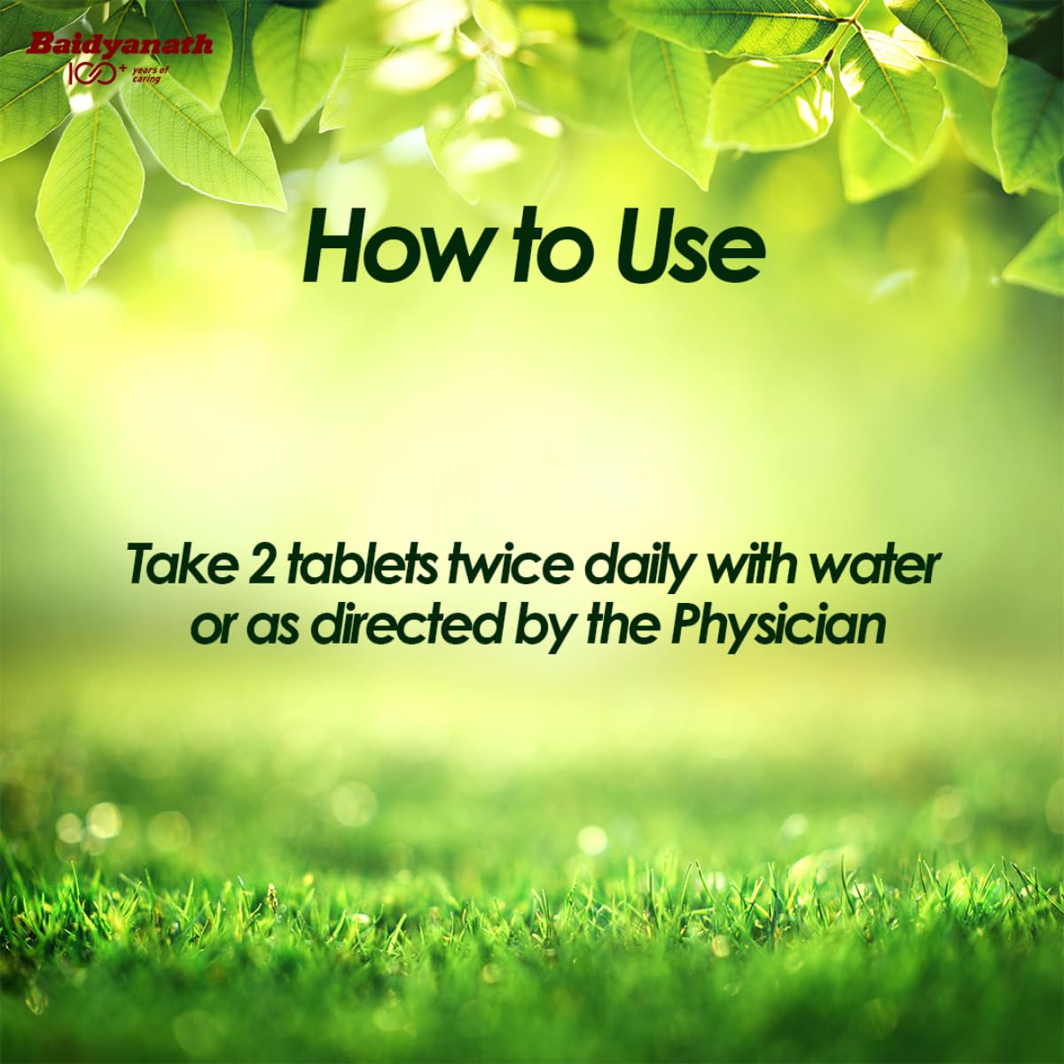 Baidyanath Prostaid 50 Tablets (Pack of 2) – view 5