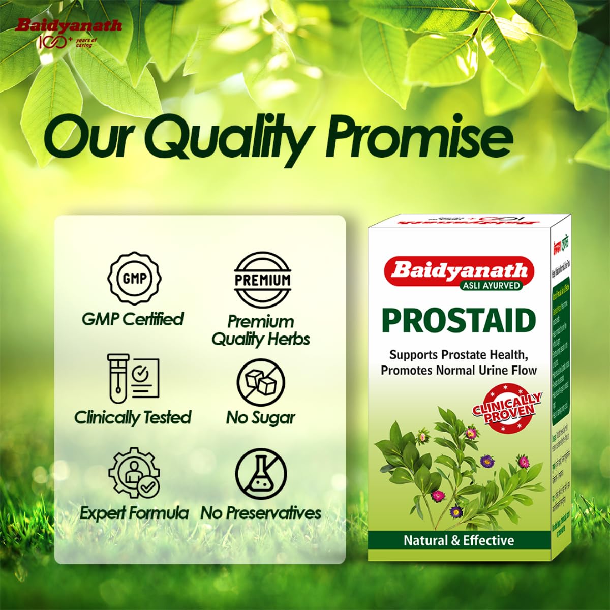 Baidyanath Prostaid 50 Tablets (Pack of 2) – view 6