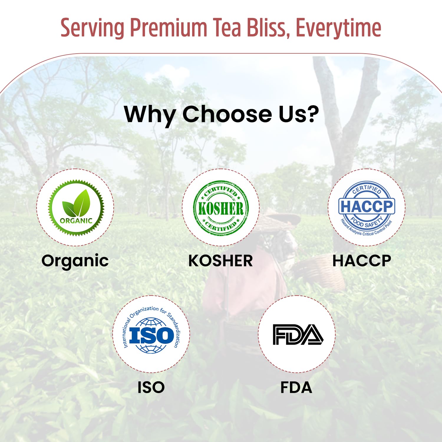 ORGANIC PETALS Detox Herbal Green Tea with Benifits of Cinnamon/Rich in Antioxidants/Hot Or Iced,cinnamon bark for Boosting Immunity and Balancing Body weight/15 Bags in Each Packet(Pack of 2),180gram – view 5