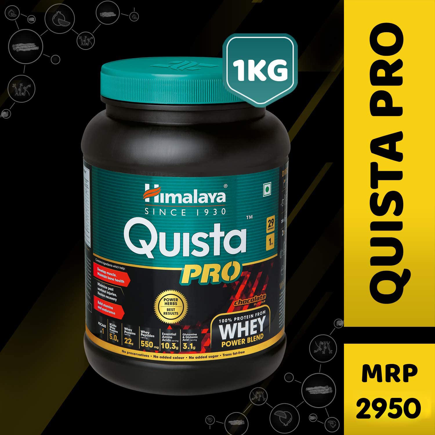 Himalaya Quista Pro Supplement, 1kg (Chocolate) – view 4