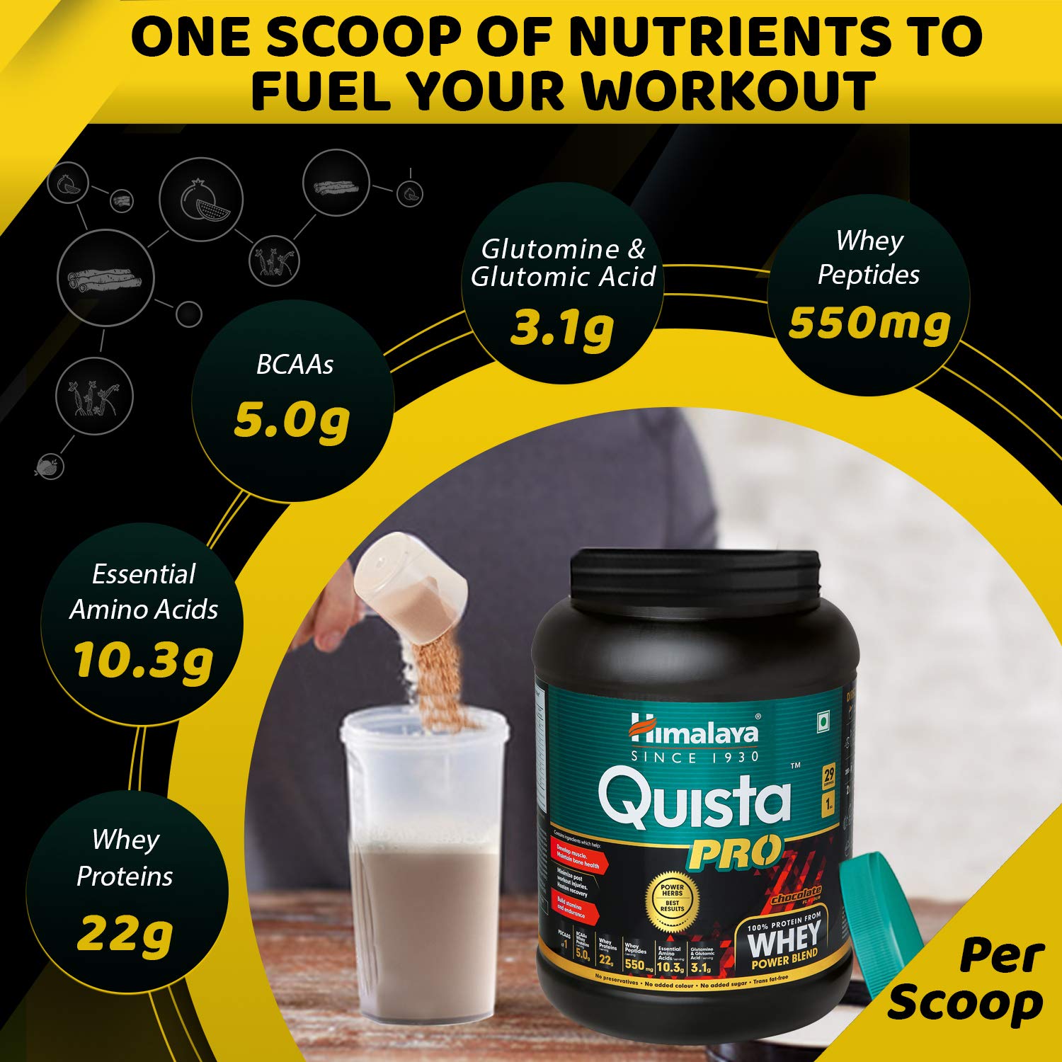 Himalaya Quista Pro Supplement, 1kg (Chocolate) – view 7