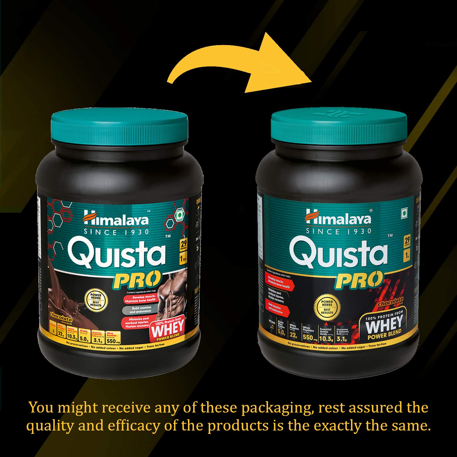 Himalaya Quista Pro Supplement, 1kg (Chocolate) – view 8
