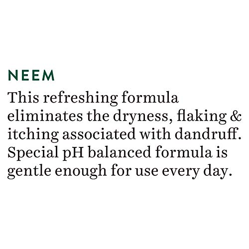 Biotique Fresh Neem Anti Dandruff Shampoo and Conditioner – view 5