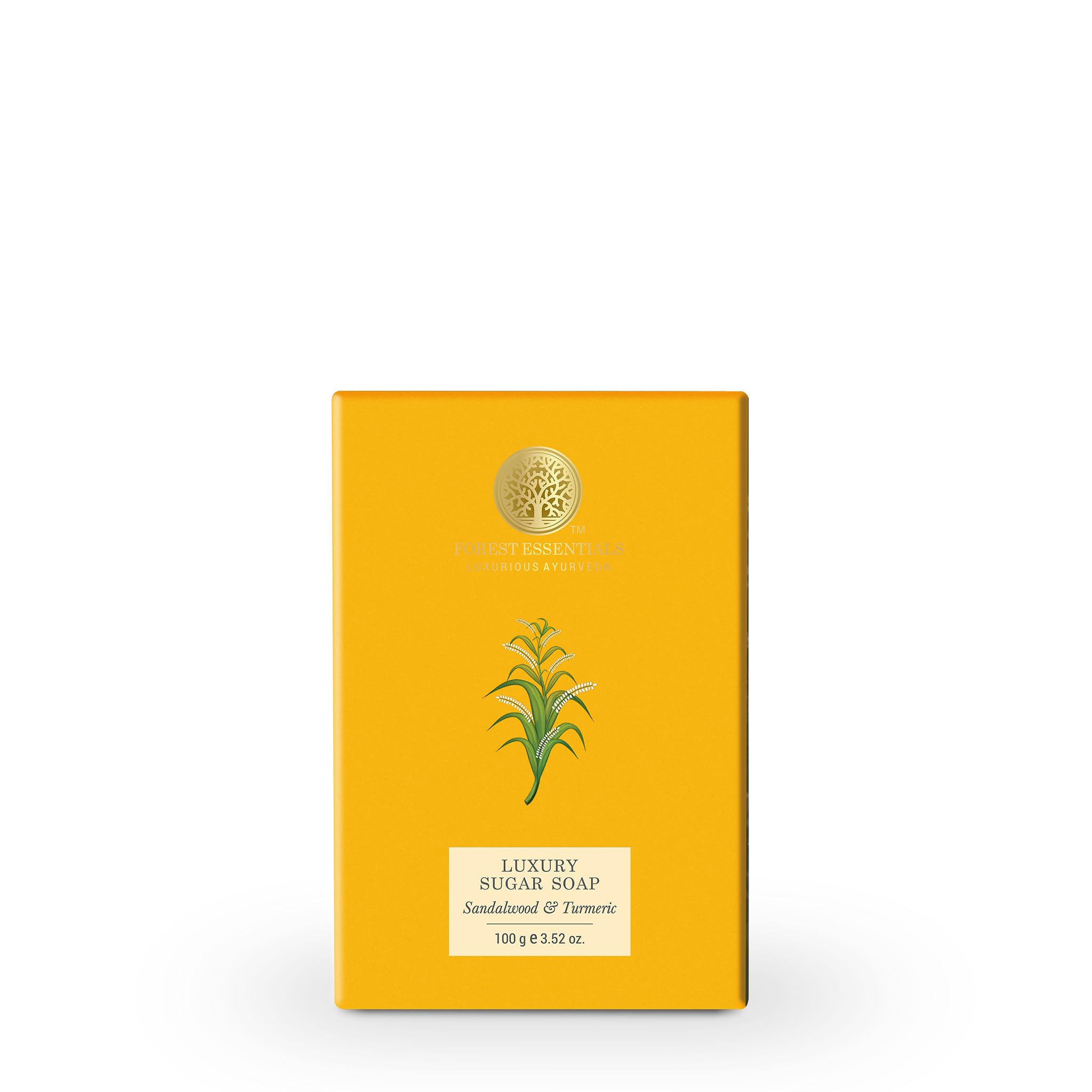 Handmade Ayurvedic sandalwood turmeric soap bar in Forest Essentials packaging