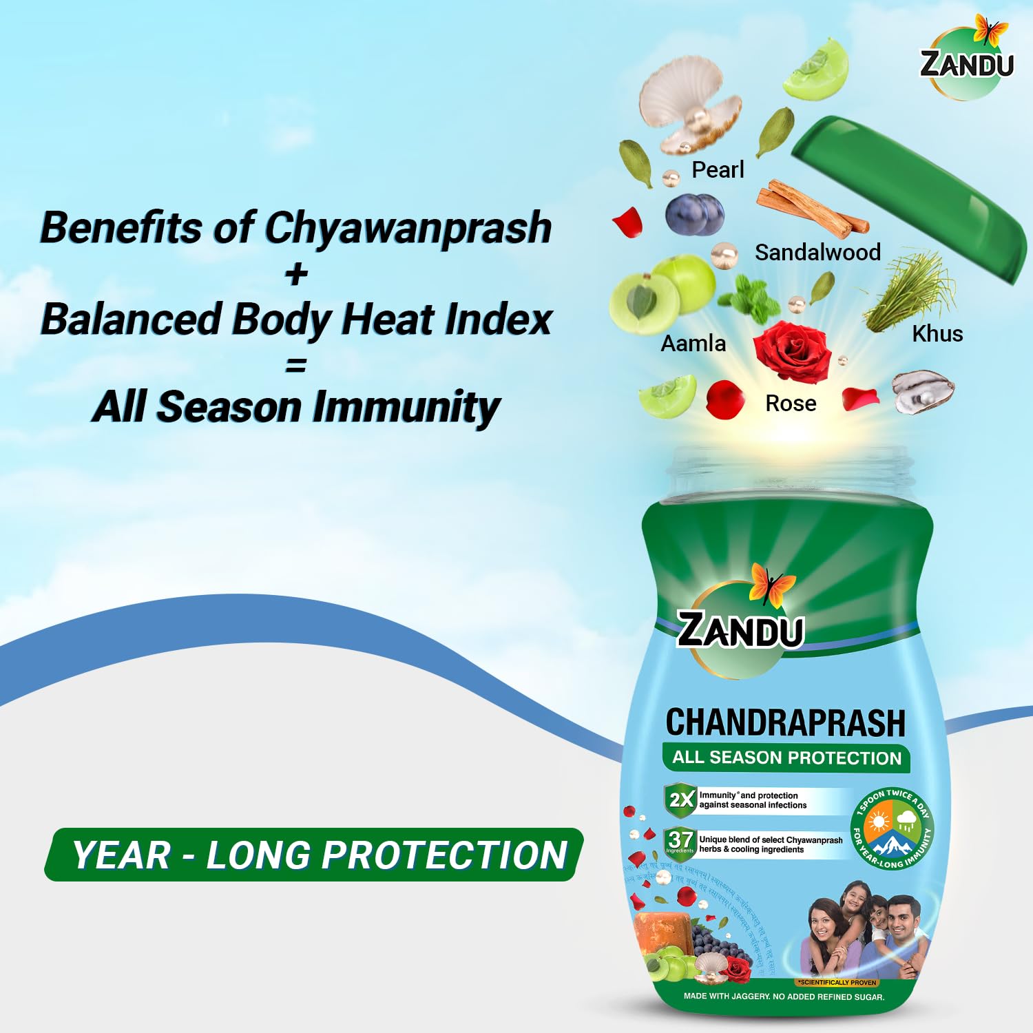 Zandu Chandraprash-450g – view 3