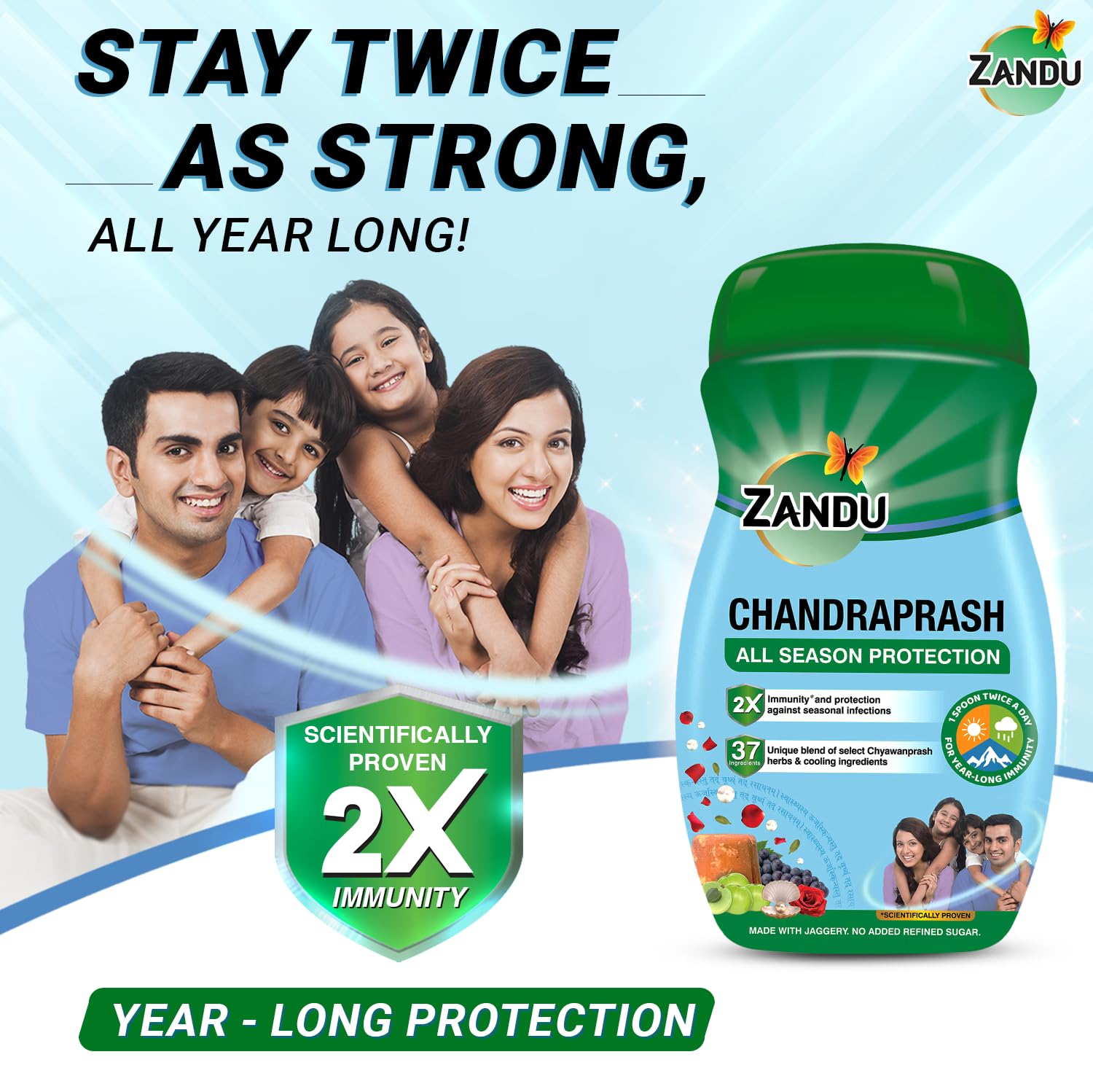Zandu Chandraprash-450g – view 4