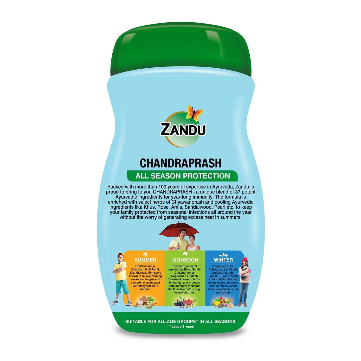 Zandu Chandraprash-450g – view 8