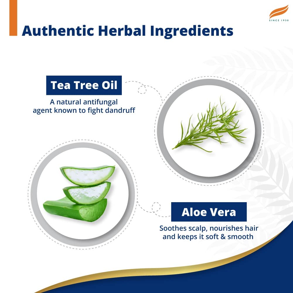 Himalaya Anti Dandruff Shampoo With Tea tree Removes dandruff & soothes sclap, 1 ltr – view 3