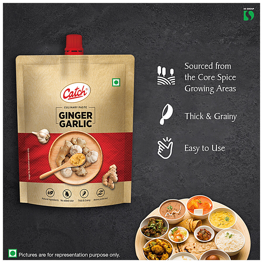 Catch Ginger Garlic/Adrak Lehsun Paste - Thick & Grainy, No Artificial Colours 200 g – view 5
