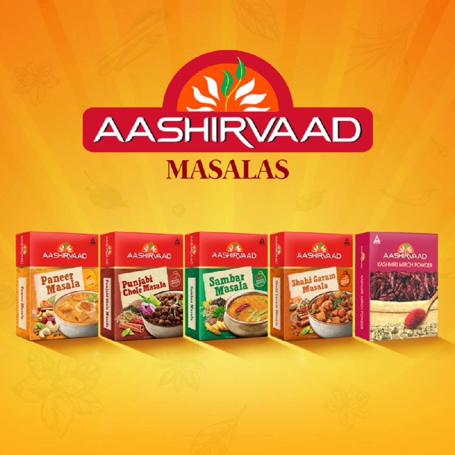 Aashirvaad Kashmiri Mirch Powder, 100g – view 5