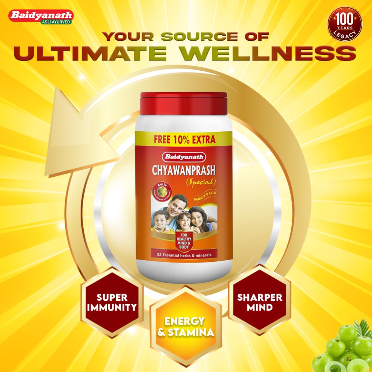 Baidyanath Chyawanprash Special -Pack of 2 kg With 10% Extra Free – view 6