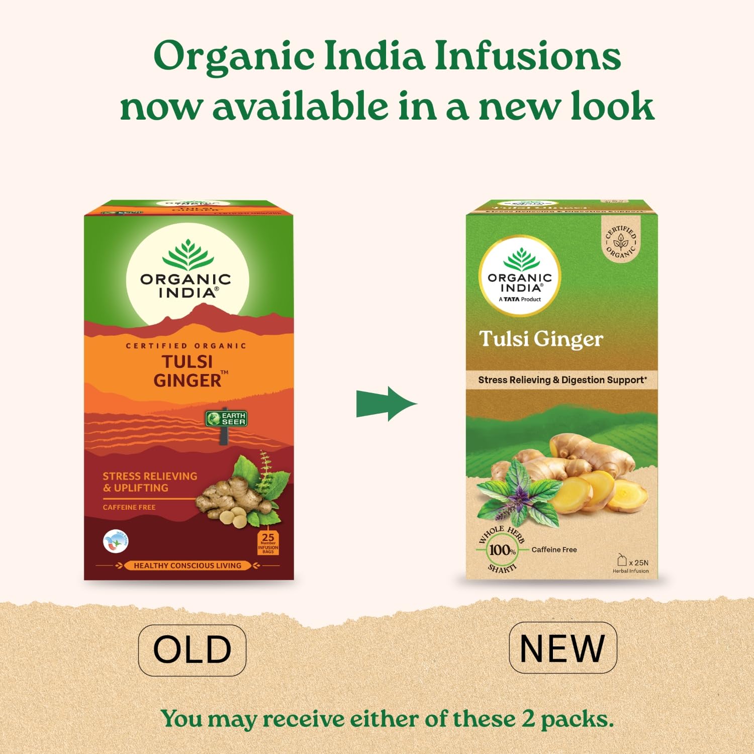 Organic India Infusion Tea Bags - Tulsi Ginger, 25 Bags – view 2